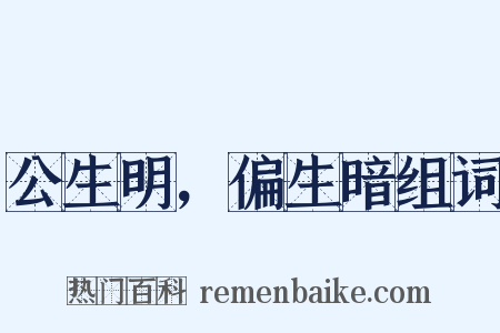 公生明，偏生暗组词是什么意思的图片
